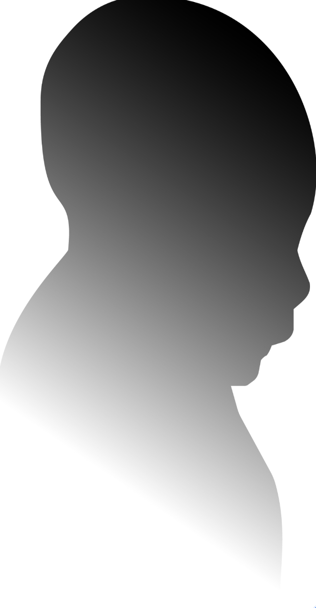 緑と道の美術展31 - 2025”></div>
          <div class=