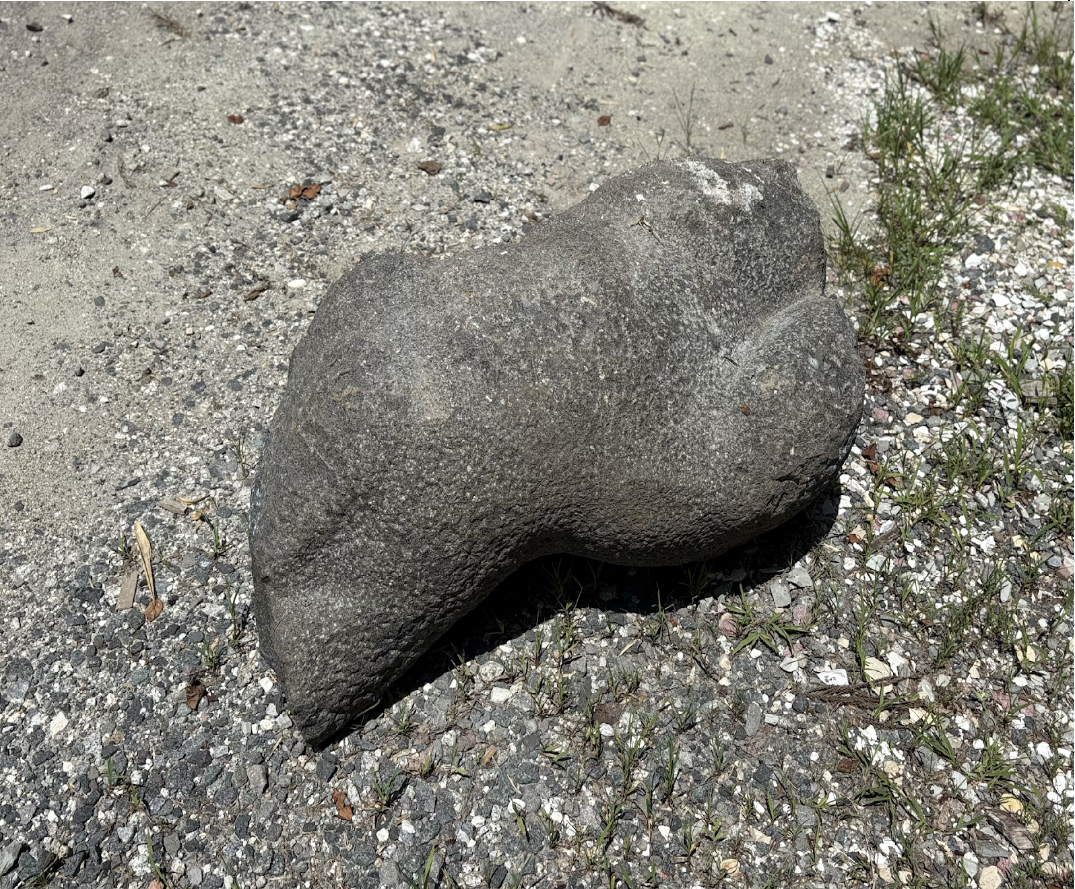 緑と道の美術展29 - 2025”></div>
          <div class=