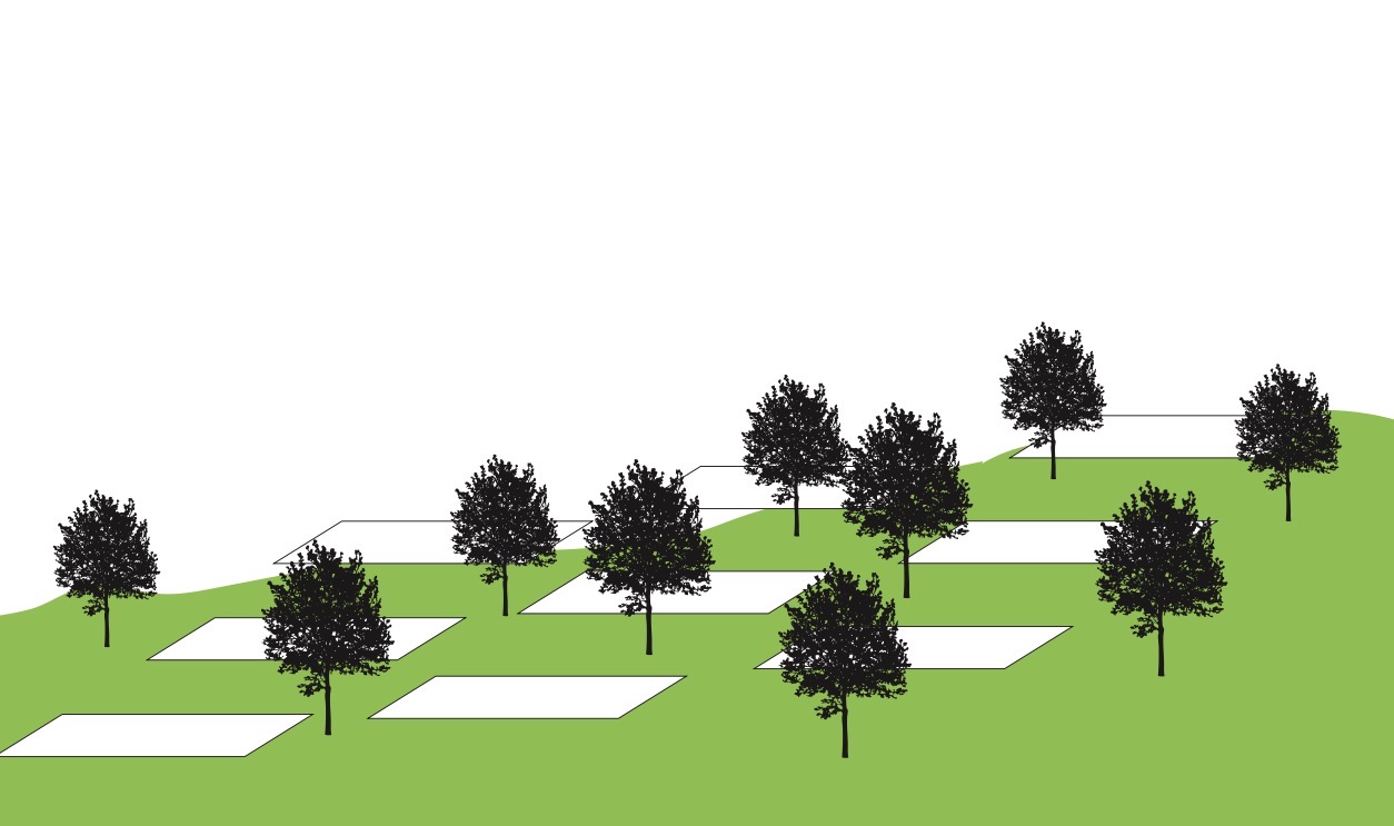 緑と道の美術展13 - 2025”></div>
            <div class=