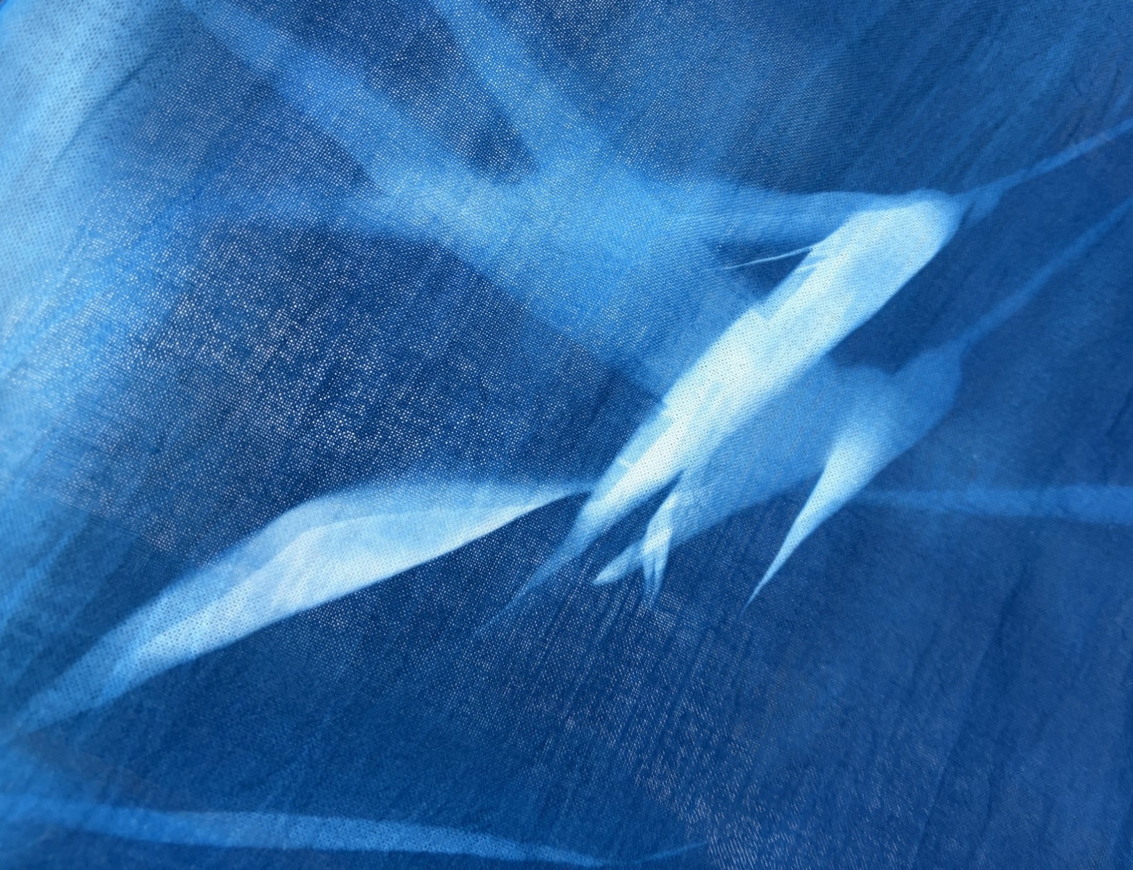 緑と道の美術展05 - 2025”></div>
          <div class=